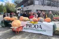 "Ciudad Zapallo": ¿Quién cultiva el zapallo urbano más grande del Alto Valle?