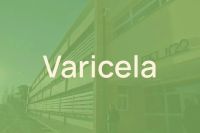Salud y Educación monitorean dos brotes de varicela en dos escuelas de Neuquén capital
