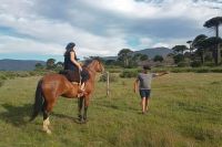 El amor por los caballos que se convirtió en una experiencia turística en Caviahue