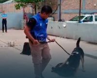 Realizaron jornada interinstitucional sobre prevención del narcotráfico en Vaca Muerta