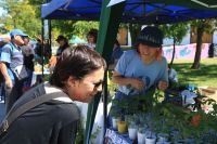 La Feria de la Agricultura Urbana Neuquina vuelve con plantines y producciones agroecológicas locales