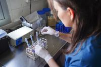 Oficializan la designación de 23 nuevos profesionales de la salud y la reorganización de cargos en hospitales