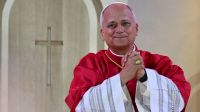 La nueva radiografía de tórax del papa León XIV muestra “una buena recuperación del pulmón” tras la cirugía 