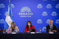 El Senado avanza con la reforma de la Ley de Salud Mental: habilita internaciones involuntarias y suman adicciones