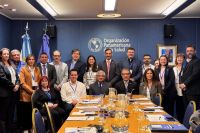 Neuquén presentó su experiencia en atención de emergencias cardiovasculares ante la OPS