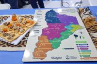 Neuquén busca captar turistas de Paraguay