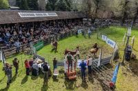 La Expo Bovinos reunió a productores y estudiantes para fortalecer el futuro de la ganadería neuquina