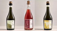 Jujuy suma sus primeros espumantes: Antropo Wines lanza tres etiquetas elaboradas con método tradicional