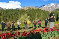 Huinganco Florece cerró una exitosa temporada con más de 5.000 visitas al Vivero Provincial